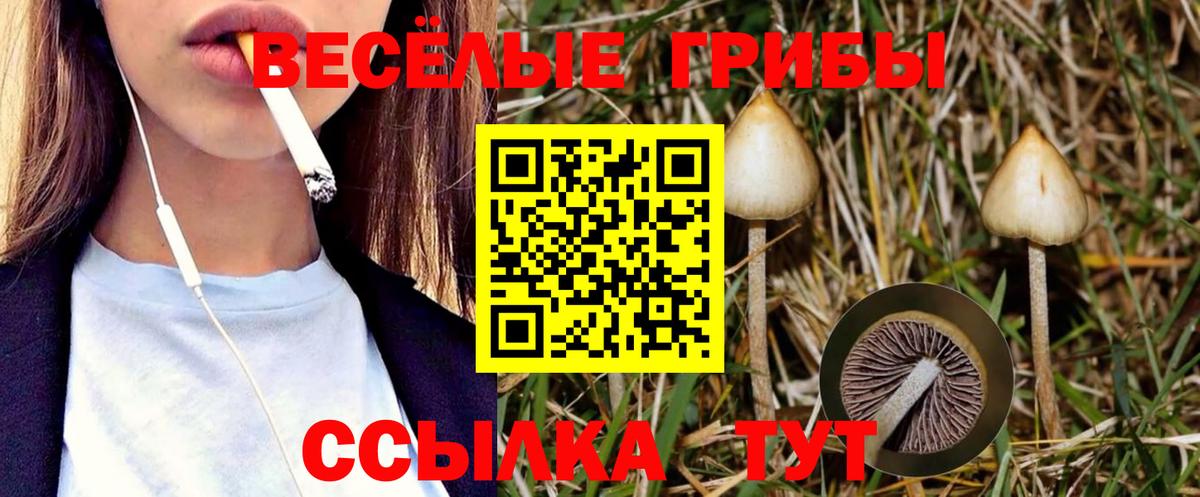 Псилоцибиновые грибы Cubensis  Вход с VPN  Первоуральск 
